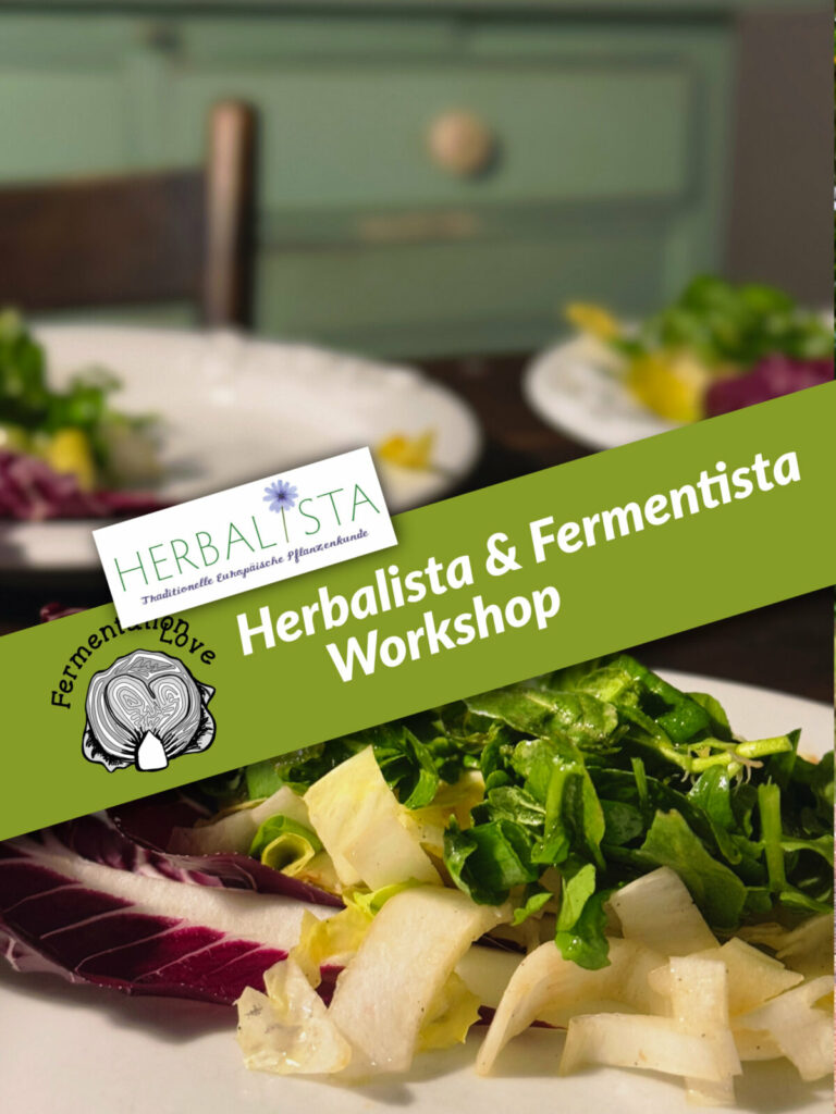 Wildkräuter-Fermentations Workshop Herbalista